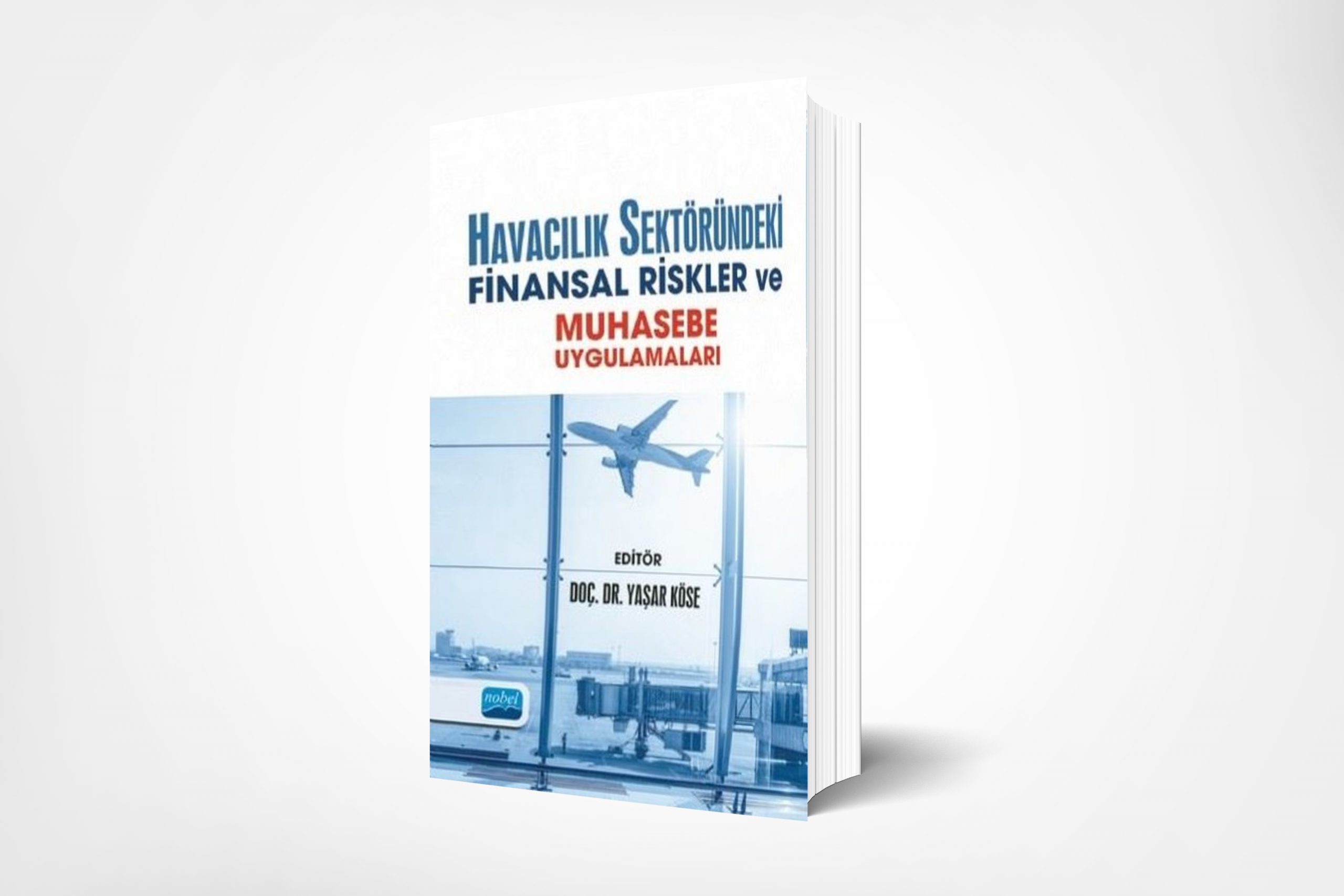Havacılık Sektöründeki Finansal Riskler ve Muhasebe Uygulamaları (Financial Risks and Accounting Practices in the Aviation Sector)